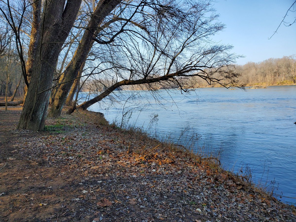 rndsnytravlr's tweet photo. And just like that I'm 3.25 miles from 100... no @MyPeakChallenge flag pics today, but enjoyed the view and got a bit muddy on the way😂😅 @ChesaPeakers @SamHeughan #becauseofMPC #MPC2020 #hikingadventures #scottsrun https://t.co/Aytpvp6Hd7