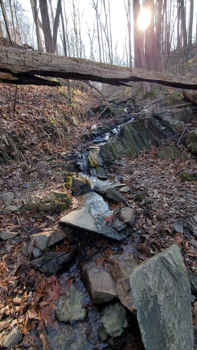 rndsnytravlr's tweet photo. And just like that I'm 3.25 miles from 100... no @MyPeakChallenge flag pics today, but enjoyed the view and got a bit muddy on the way😂😅 @ChesaPeakers @SamHeughan #becauseofMPC #MPC2020 #hikingadventures #scottsrun https://t.co/Aytpvp6Hd7