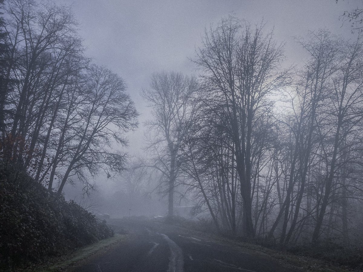 mestitiah's tweet photo. Not a whisper. 
#photography #PNW #pnwphotography https://t.co/3xi8pfJvfY