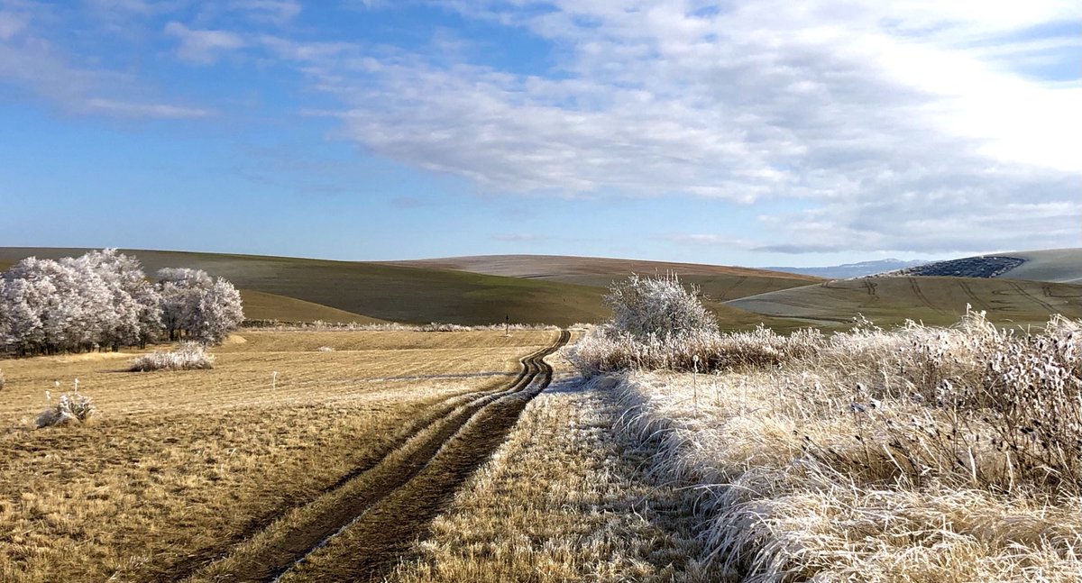 Simple scenes, big skies, and subtle beauty lets the heart and mind soar and paths draw our footsteps to new destinations both real and imagined