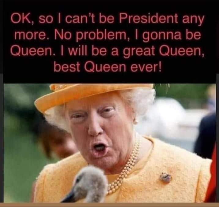 Darlin8E's tweet photo. @realDonaldTrump https://t.co/drZSrNN97u