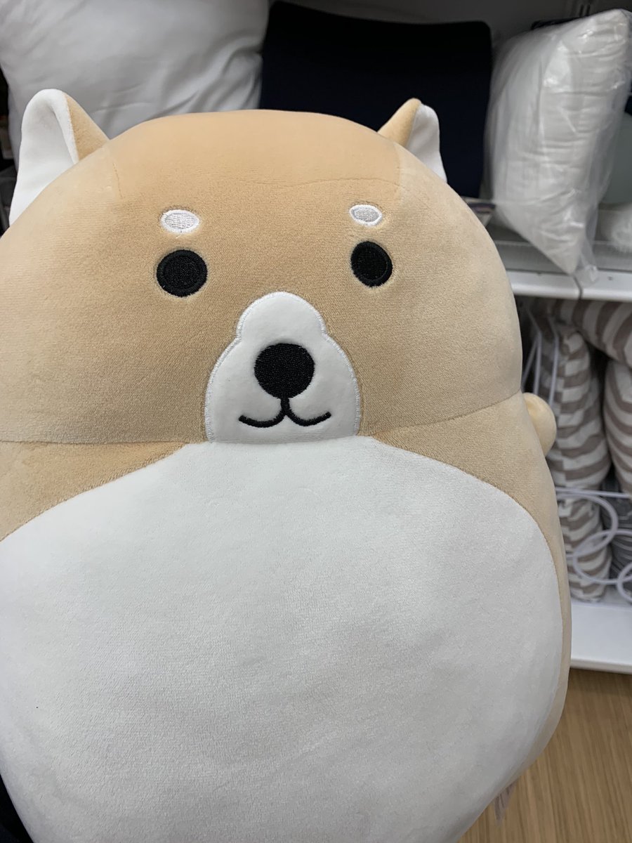 めちゃくちゃカワイイ 一目惚れしておりますが ダイソーだけど1000円