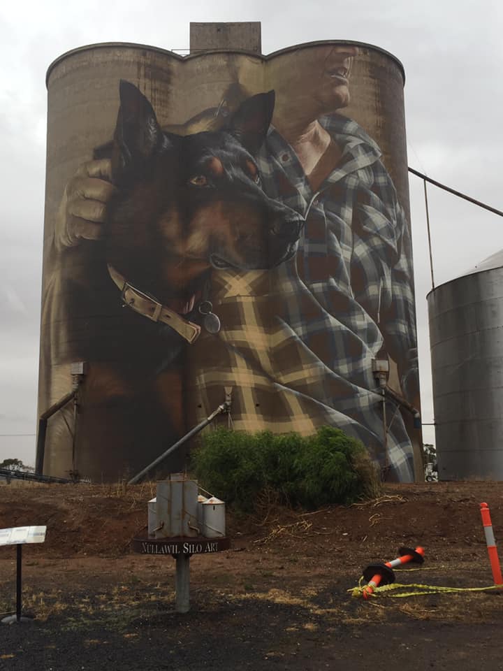 my friend debbie, who i went to school with, recently went to the silo art trail. and i think she went on a bit of a wine trail too lol. so i will post some of the photos she took