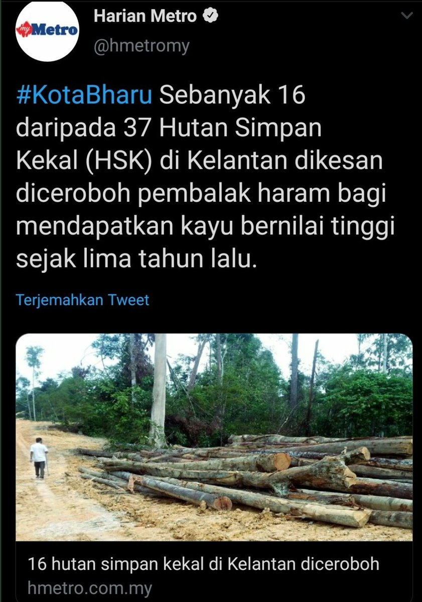 mynewshub's tweet photo. Sejak 5 tahun.....pihak berkuasa buat apa... Makan tido ke? https://t.co/AZVCIeh8H6