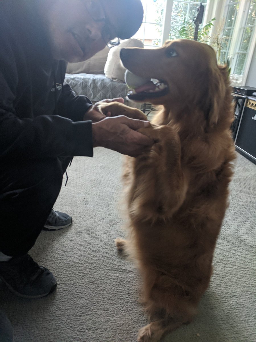 thebaldguyO's tweet photo. Man and His Dog!!! #LoTG
#GoogleEye https://t.co/9o9Pvn0uSY