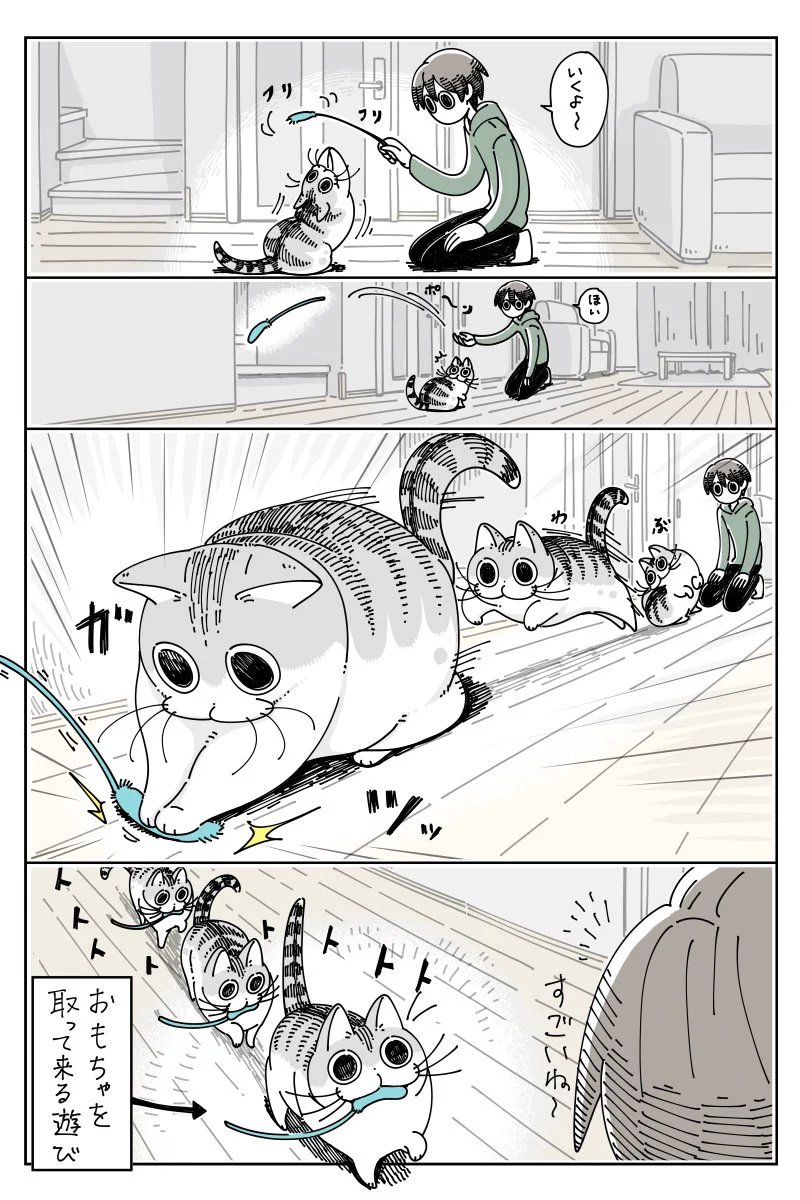 実は遊んでもらってるのは人間のほう？www投げたおもちゃを一応持ってきてくれるも･･･www