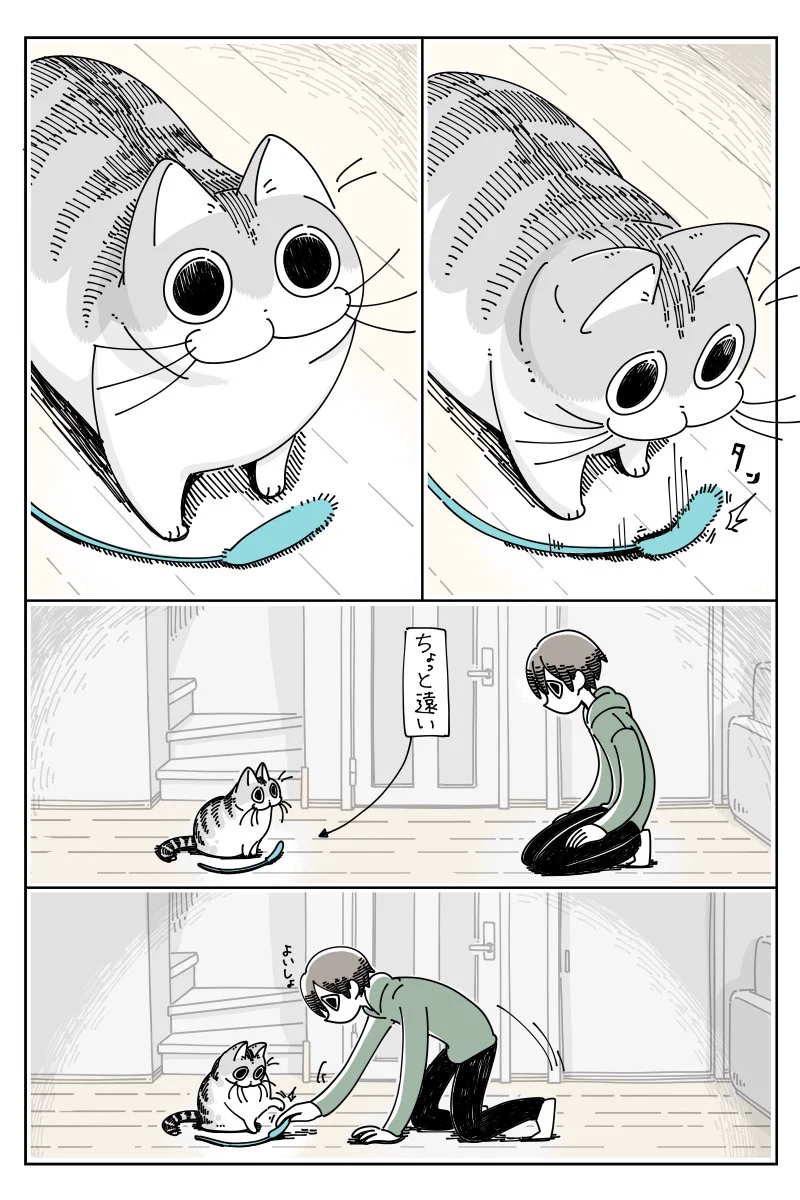 実は遊んでもらってるのは人間のほう？www投げたおもちゃを一応持ってきてくれるも･･･www