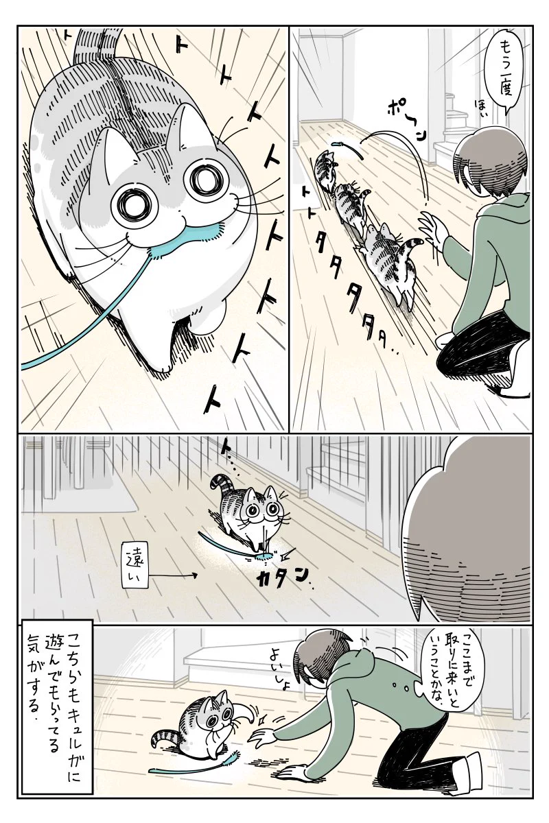 実は遊んでもらってるのは人間のほう？www投げたおもちゃを一応持ってきてくれるも･･･www