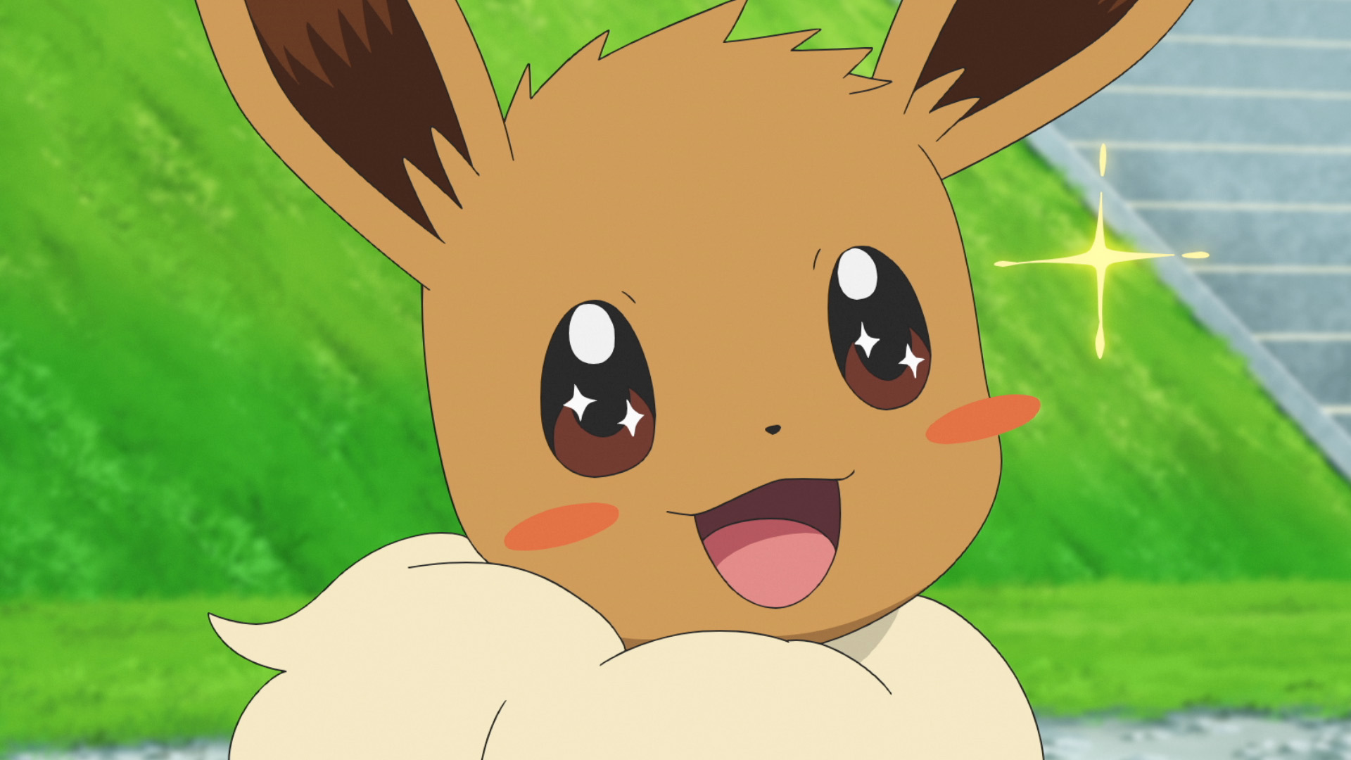 ポケモン公式ツイッター 今日のアニポケ クチバシティにある イーブイ進化研究所 には 特別なイーブイが暮らしていた その イーブイが偶然 コハルのワンパチと出会い 研究所の外へ出てしまう 迷子になったイーブイがたどり着いた先は なんと