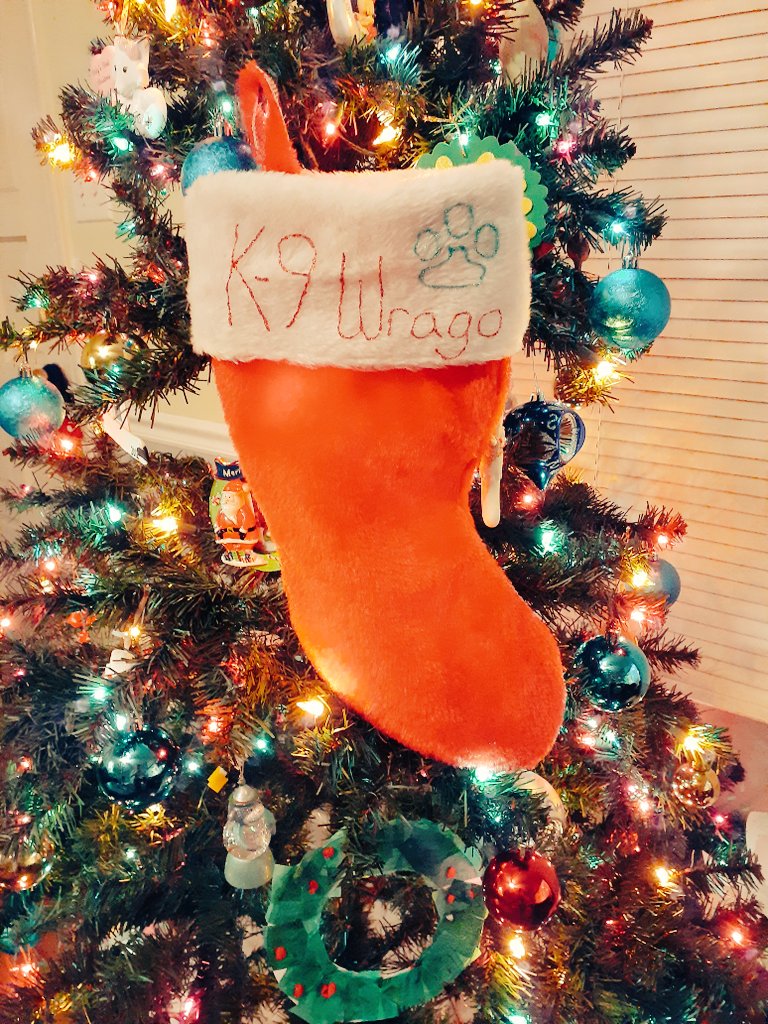 K9_Wrago's tweet photo. K9 Wrago is ready for Santa's visit! Christmas stocking is up, now the wait begins!! #K9Wrago #Christmas #Christmas2020 #Santa #bluepawsmatter #mpd https://t.co/pDM9dky922