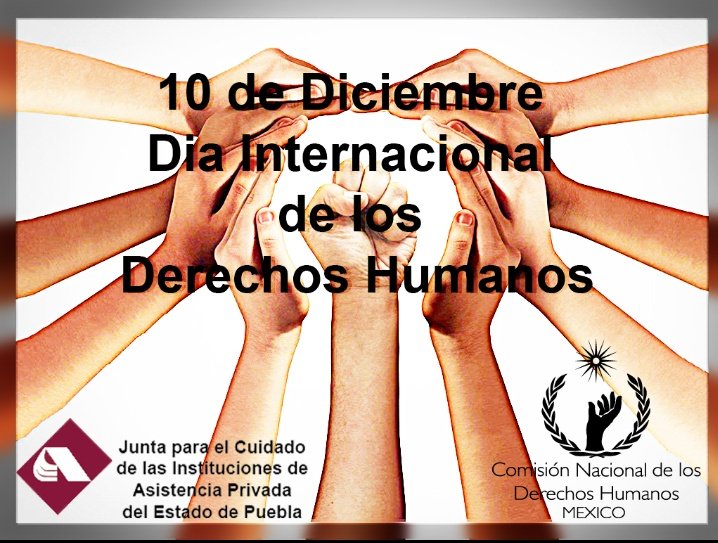 jiapep's tweet photo. Promover mediante la enseñanza y la educación, el respeto a los derechos y libertades es tarea de todas y todos. #DiaDeLosDerechosHumanos  #DiaInternacionalDeLosDerechosHumanos  #DerechosHumanos https://t.co/E9QFrn1m7g