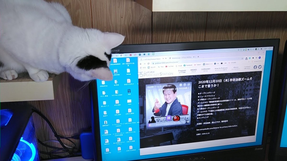 none_ex's tweet photo. Podcastで辛坊さんの番組を聞いてるとやってくるミハイル

辛坊さんの声がお気に入りの様だ
His masters voice ならぬ、It’s Shinbos voice
#辛坊治郎ズーム https://t.co/TnFVLZoEYh