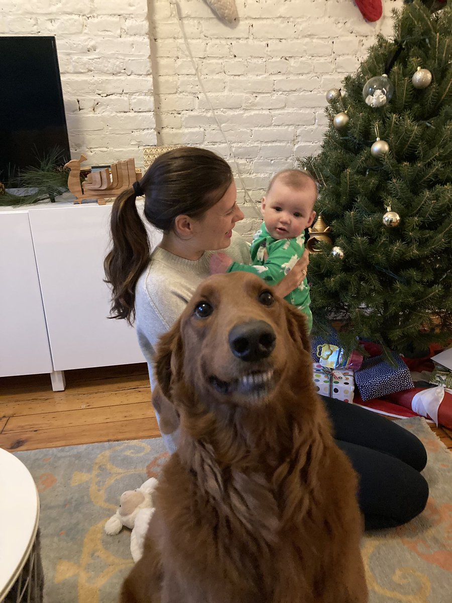 getLaura's tweet photo. Dogs won 2020 https://t.co/Qes2cNuxP8