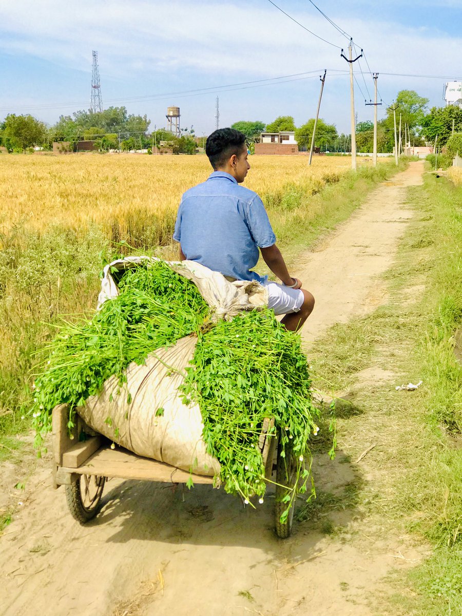 HumreetSingh's tweet photo. #farmerlivesmatters #bycottJIO #SpeakUpForFarmars #BycottAmbaniAdani #farmerportest #IndianFarmers https://t.co/hksUp9Pj5M
