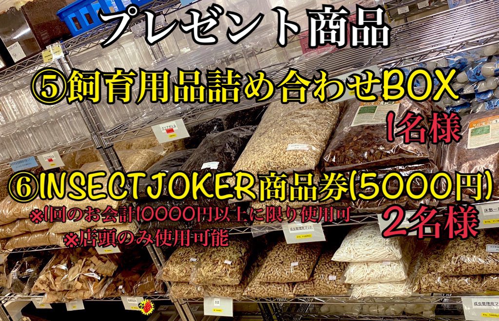 INSECT_JOKER's tweet photo. 寒くなると活気が欠けてしまうこの業界…。
世間は大変ですが、少しでも盛り上げていきたいのでINSECT JOKER店長より皆様にクリスマスプレゼントです。
少しでも楽しんで頂けたら…

応募は当ツイートにリプで番号を教えて下さい。
当アカウントからのいいねで応募完了です‼︎

それでは始めます‼️ https://t.co/O1m0EaUyou