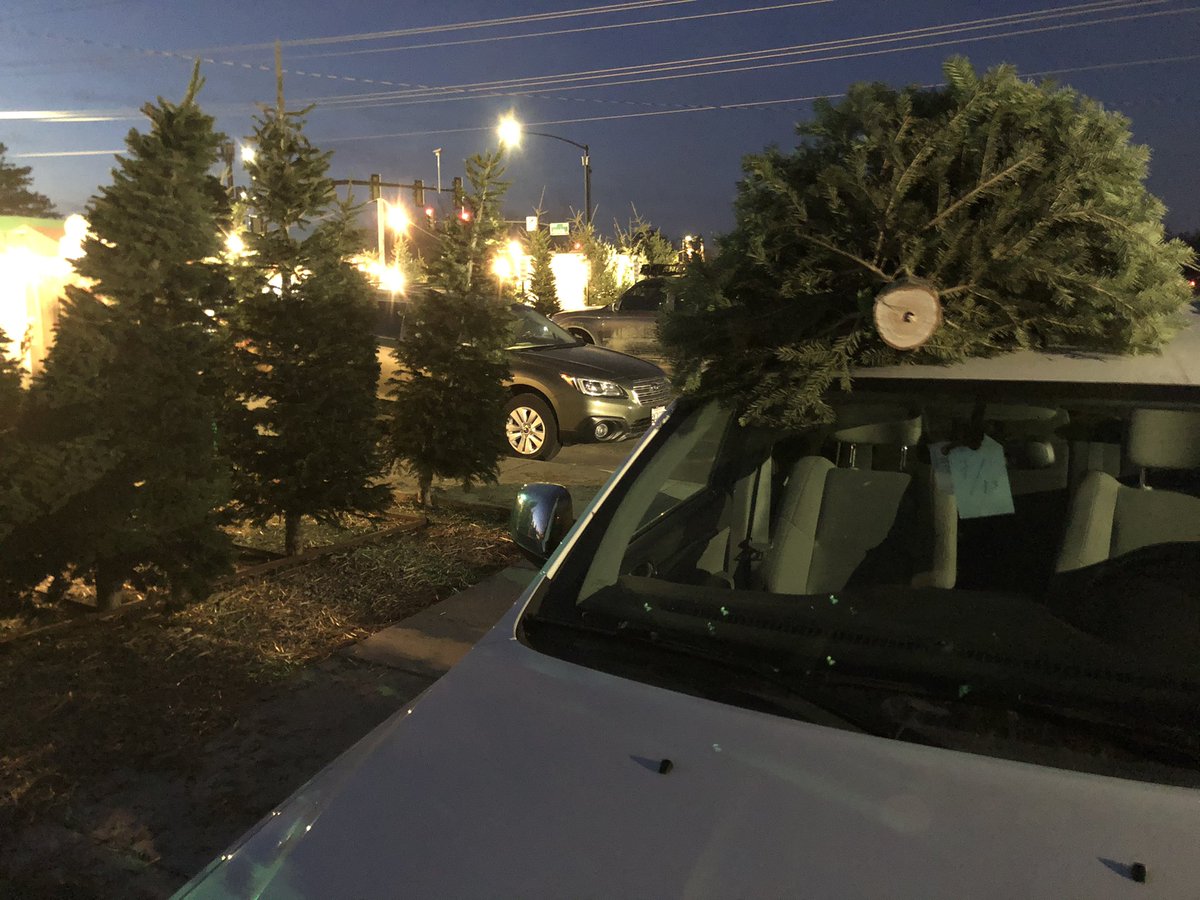 Jay_Tust's tweet photo. Christmas is about to get a whole lot more fun!

...we found our tree tonight. 

🎅🏻+ 🎄+ 👶🏼 https://t.co/feoUcO6gia