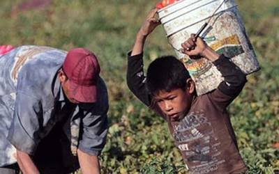 Paulguerra16's tweet photo. Mira Samuel García este si es trabajo, esto si es sufrimiento, esto es México real. Esto se réplica en todo el país desde hace décadas.
Deja de burlarte del pueblo con tus "Penas" De niño Cagado, politiquero mediocre! https://t.co/2qAFFzOXmW