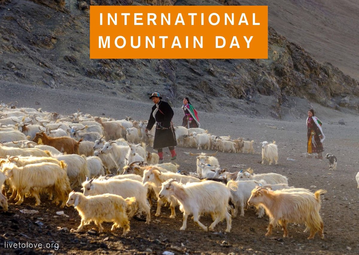 LiveToLoveIntl's tweet photo. “Somewhere between the bottom of the climb and the summit is the answer to the mystery why we climb.”
The meaning of the act lies in doing the act. On International Mountain Day, pledge to take a step towards preserving the Himalayas.
#GregChild #InternationalMountainDay https://t.co/BK8GSPXuzE