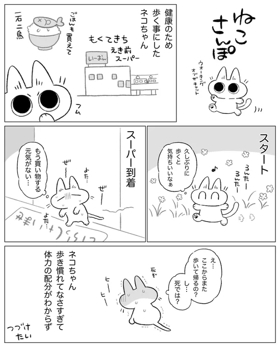 ウォーキングを始めたネコちゃん #ネコちゃんで日記 