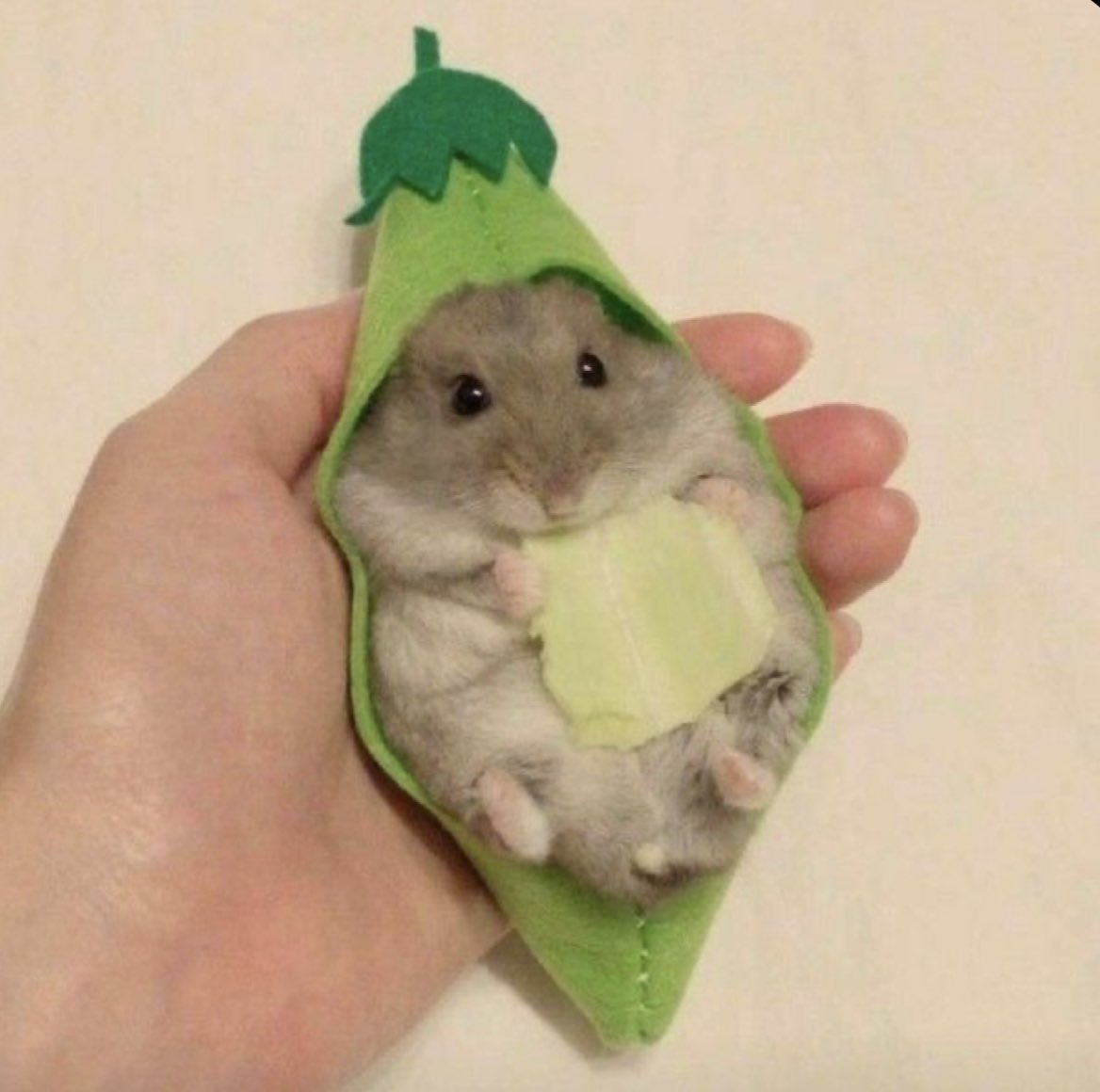 also sorry if i worded any of that incorrectly im panicking too lol