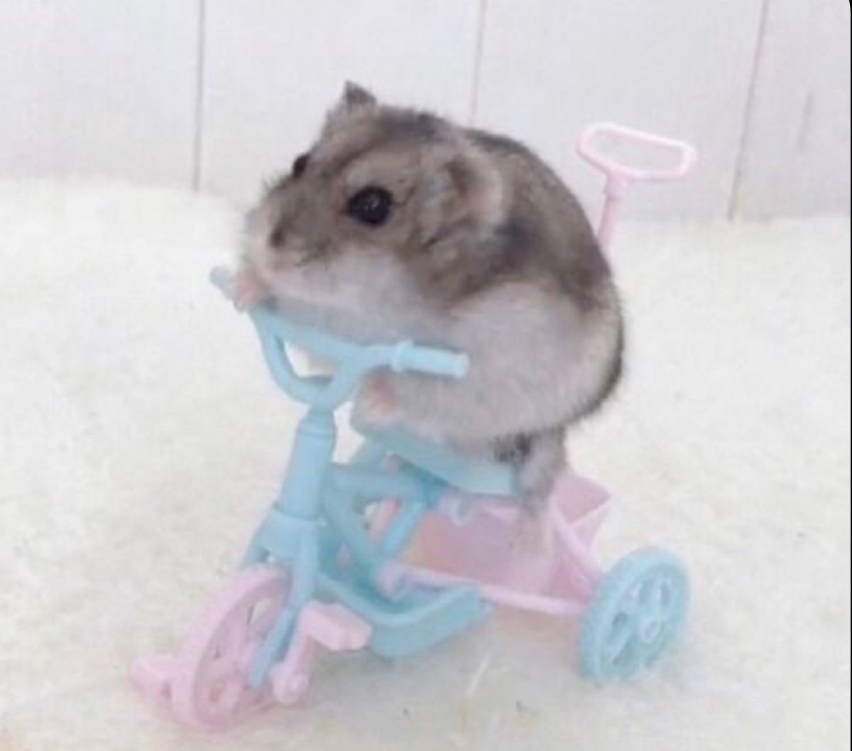 also sorry if i worded any of that incorrectly im panicking too lol