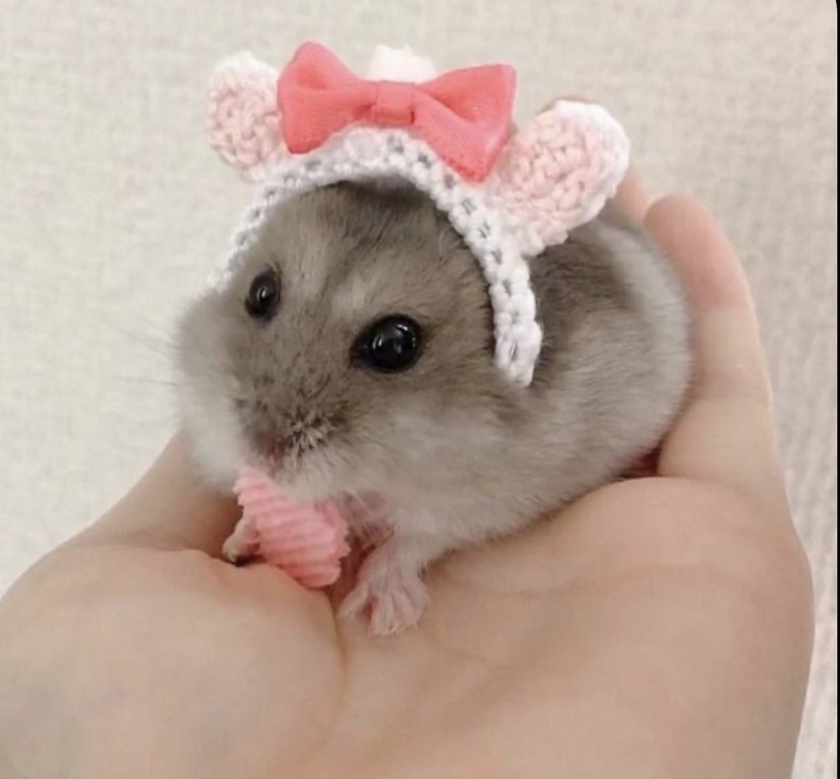 also sorry if i worded any of that incorrectly im panicking too lol