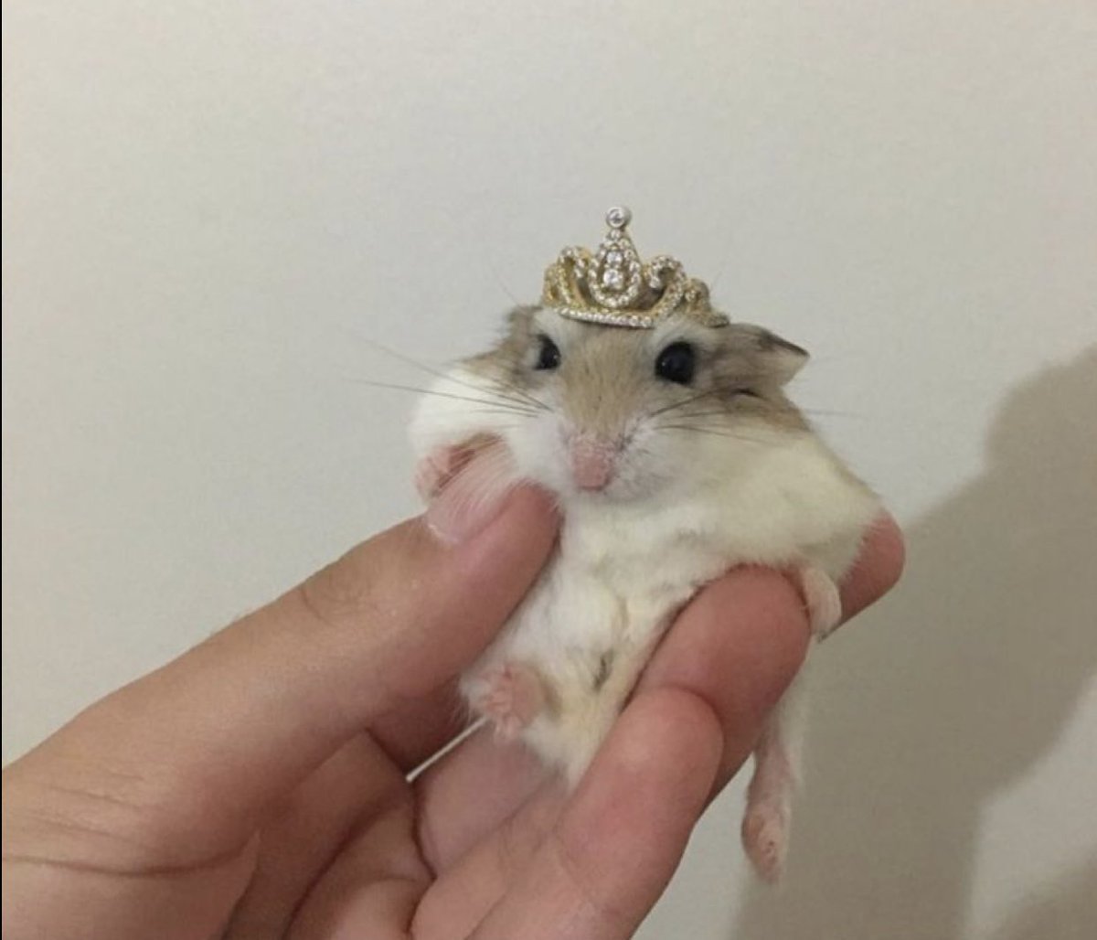 also sorry if i worded any of that incorrectly im panicking too lol