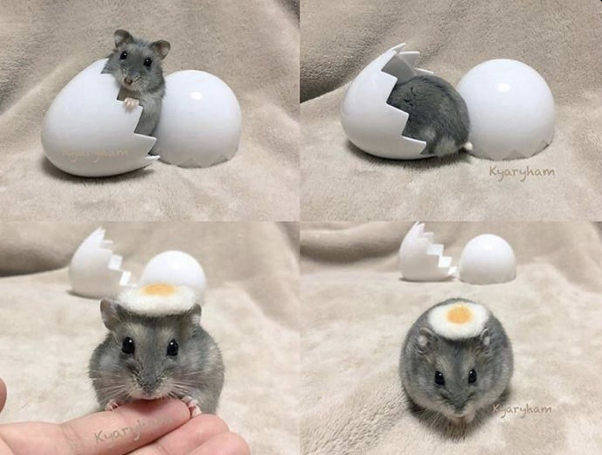 also sorry if i worded any of that incorrectly im panicking too lol