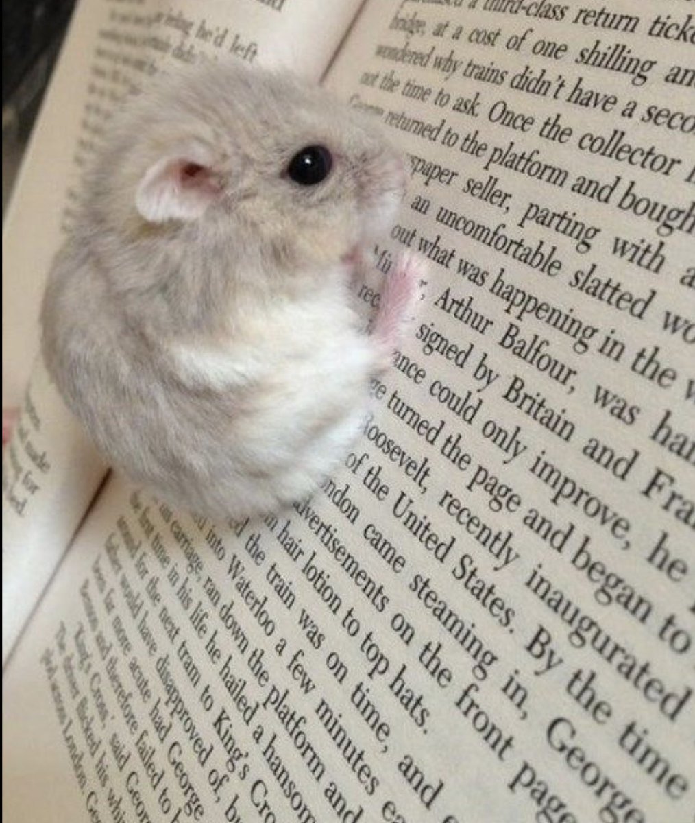 also sorry if i worded any of that incorrectly im panicking too lol