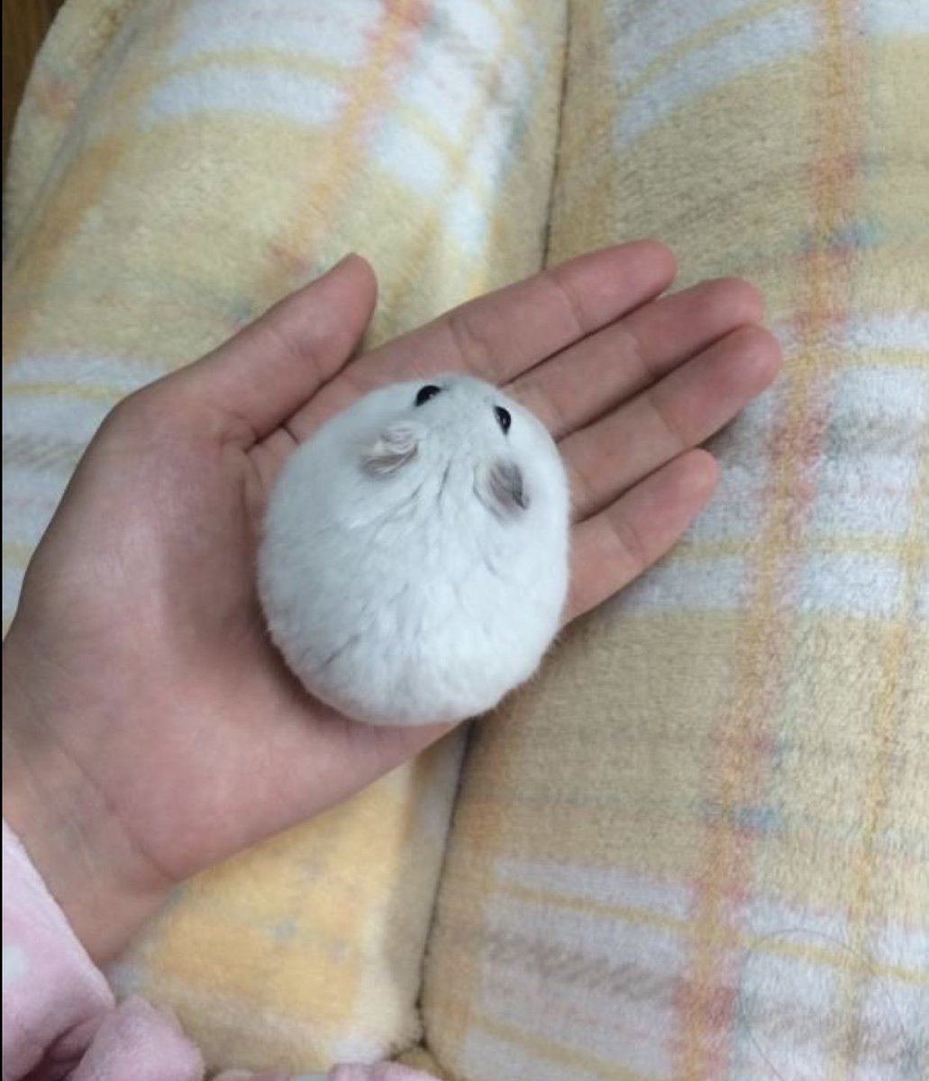 also sorry if i worded any of that incorrectly im panicking too lol