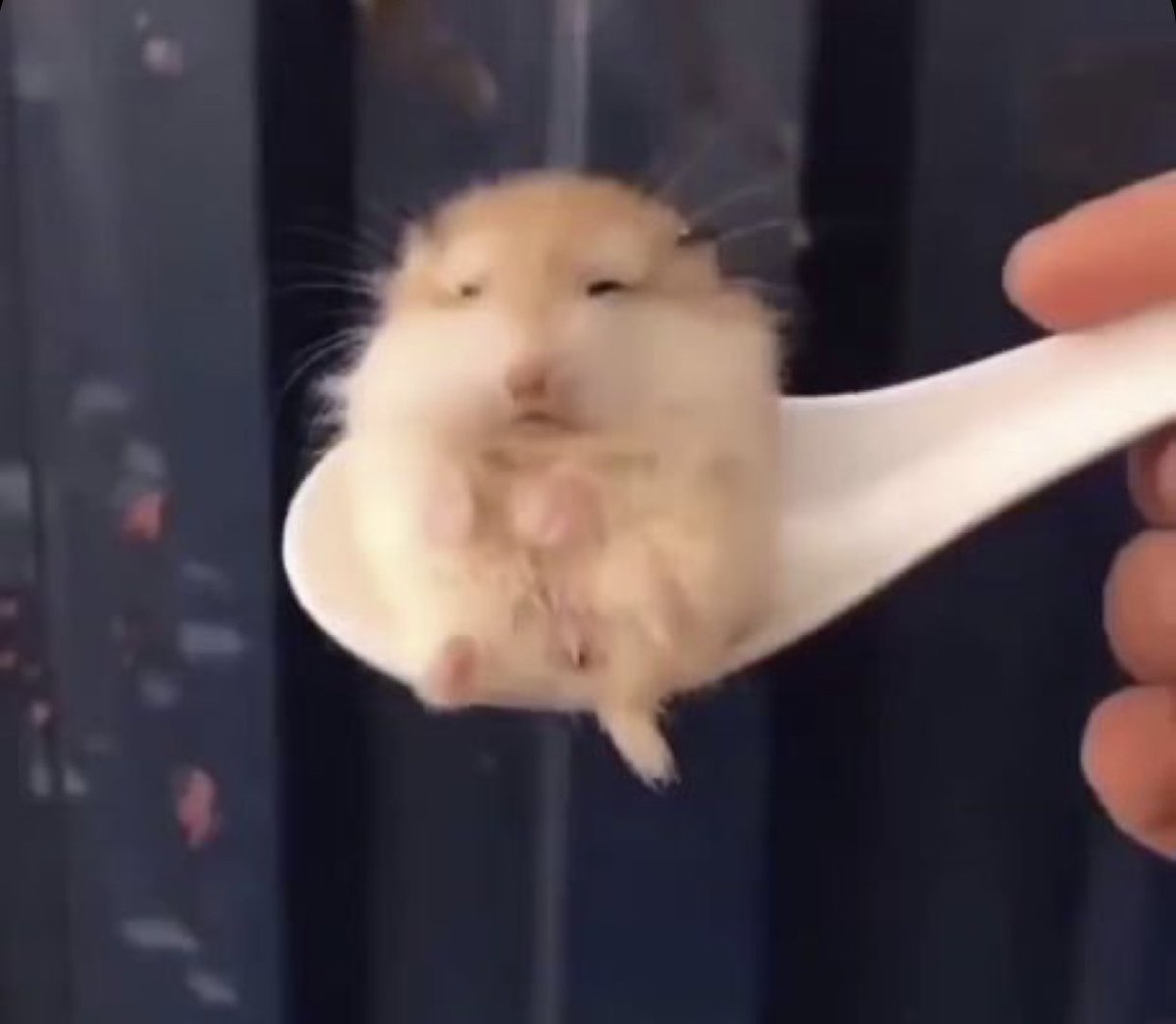 also sorry if i worded any of that incorrectly im panicking too lol