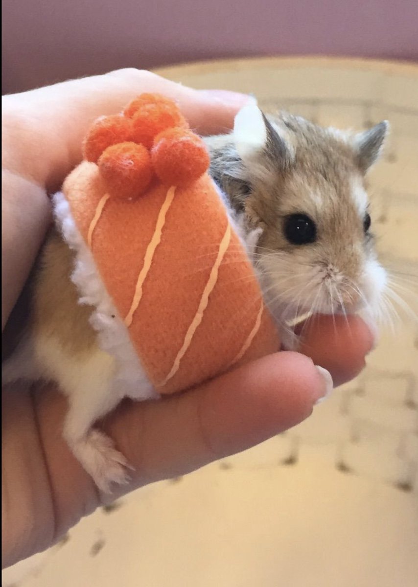 also sorry if i worded any of that incorrectly im panicking too lol