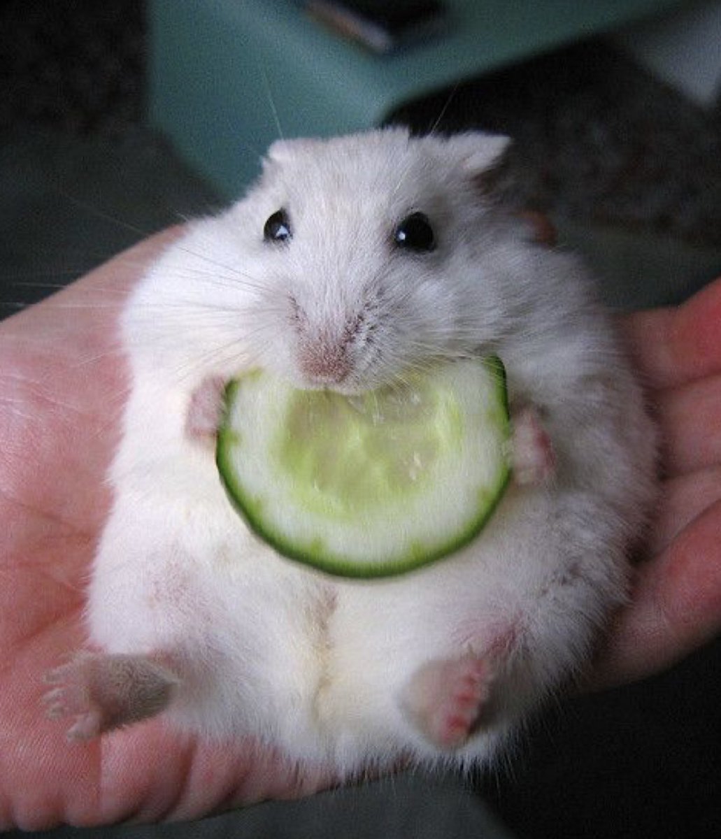 also sorry if i worded any of that incorrectly im panicking too lol