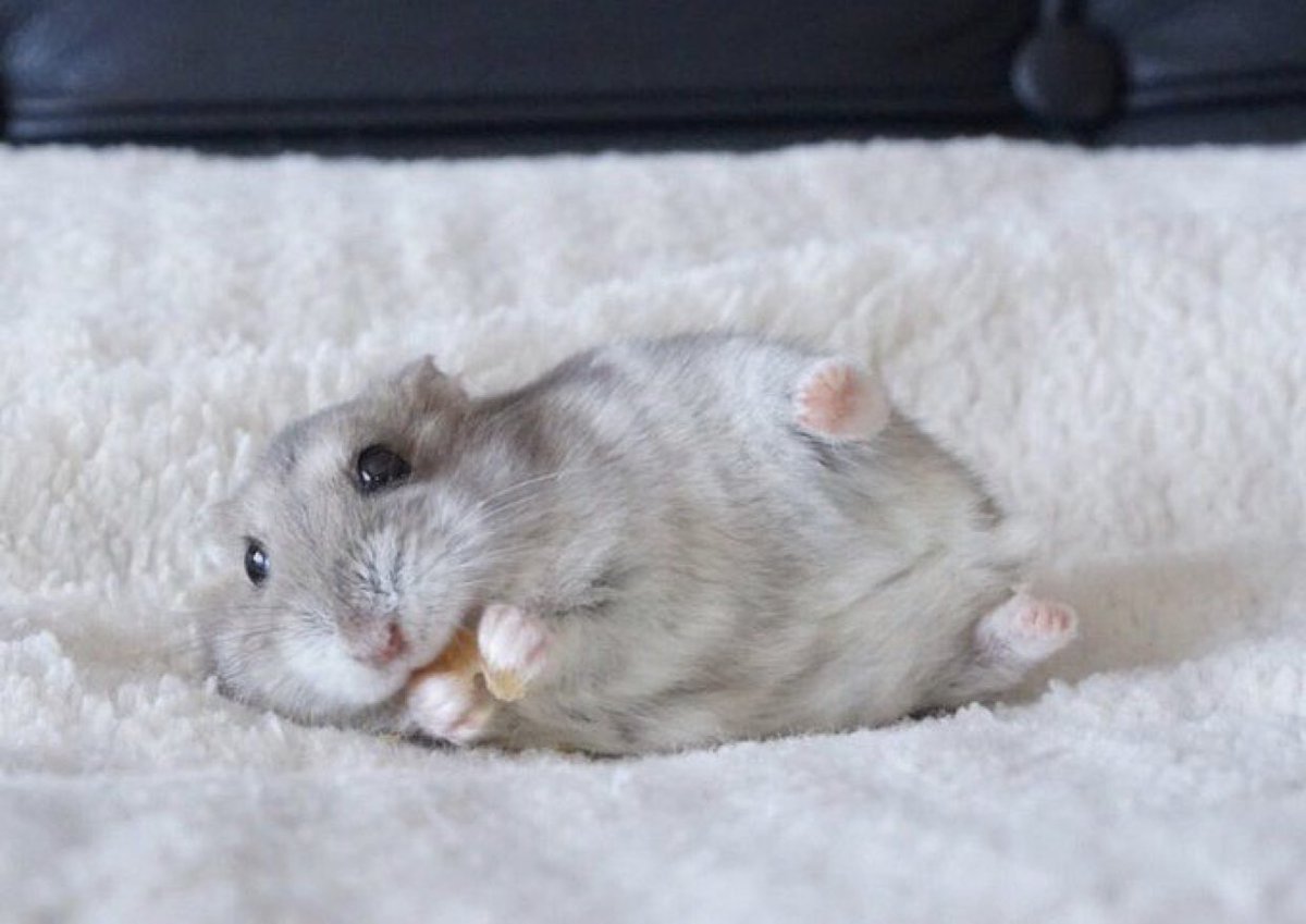 also sorry if i worded any of that incorrectly im panicking too lol