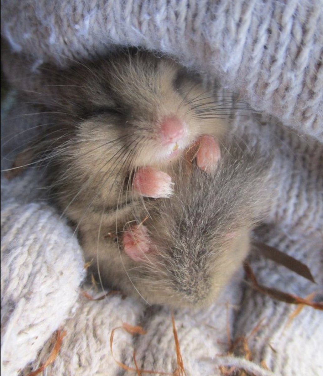 also sorry if i worded any of that incorrectly im panicking too lol