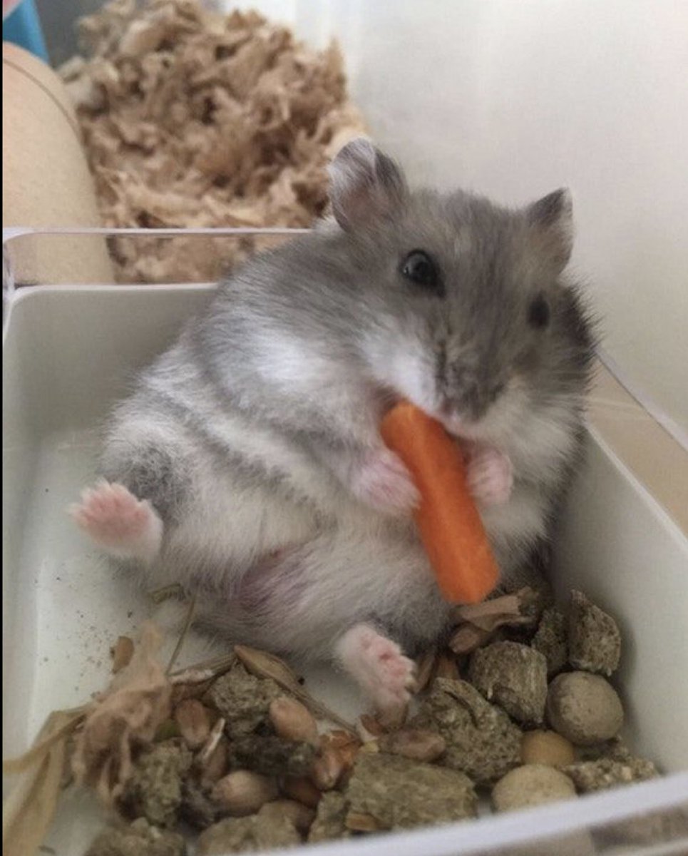 also sorry if i worded any of that incorrectly im panicking too lol