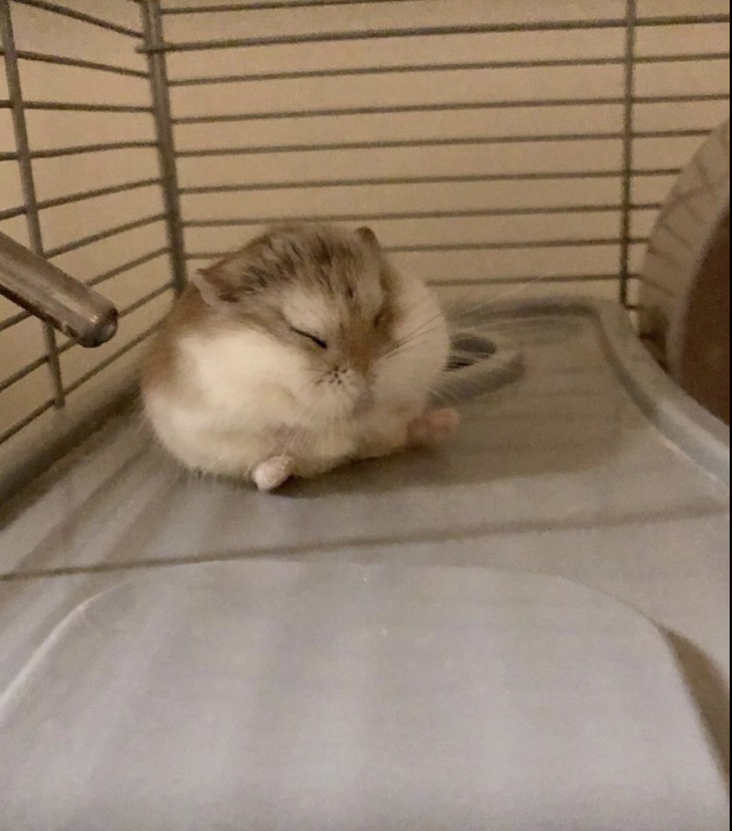 also sorry if i worded any of that incorrectly im panicking too lol