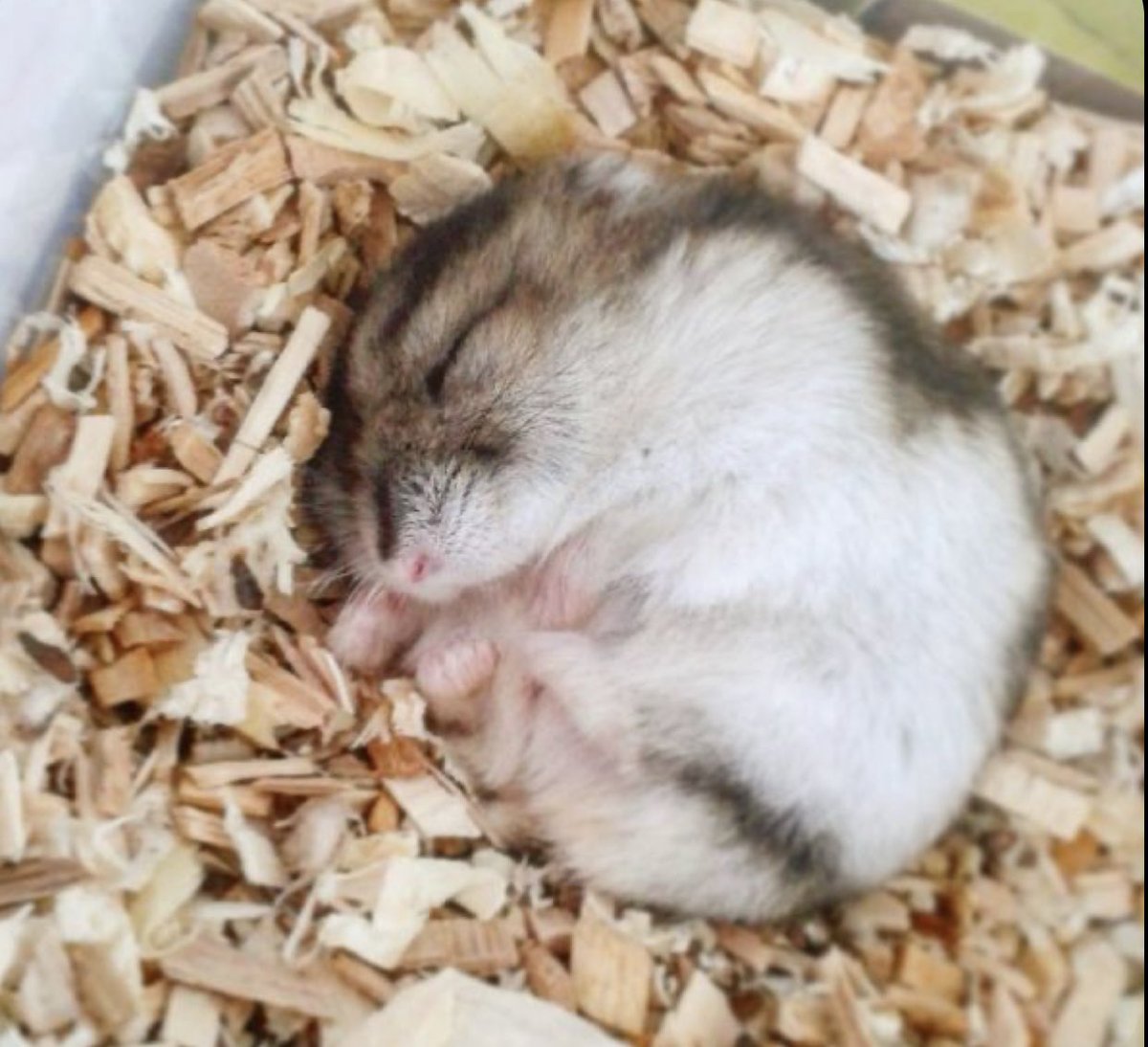 also sorry if i worded any of that incorrectly im panicking too lol