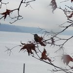 Photo by Anne (@CRMLady)