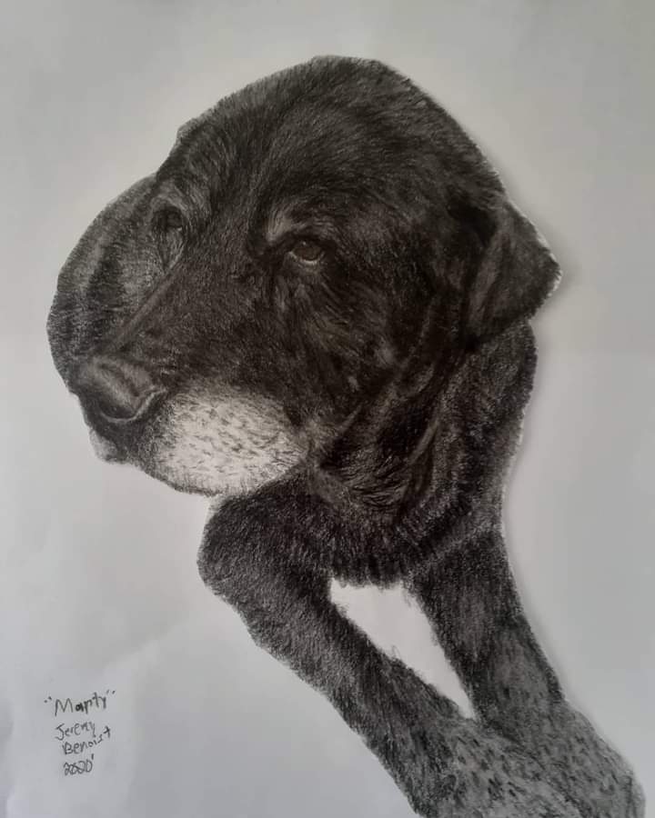 pencil_by's tweet photo. Finished a memorial portrait. Color pencil. #blacklab #labrador #labradorretriever #dogsofinstagram #labsofinstagram #blacklabrador #dog #blacklabsofinstagram #labs #dogs #lab #puppy #blacklabsquad #labradors #labradorsofinstagram #talesofalab #dogstagram #of #labradorable https://t.co/r08Xe3GIw5