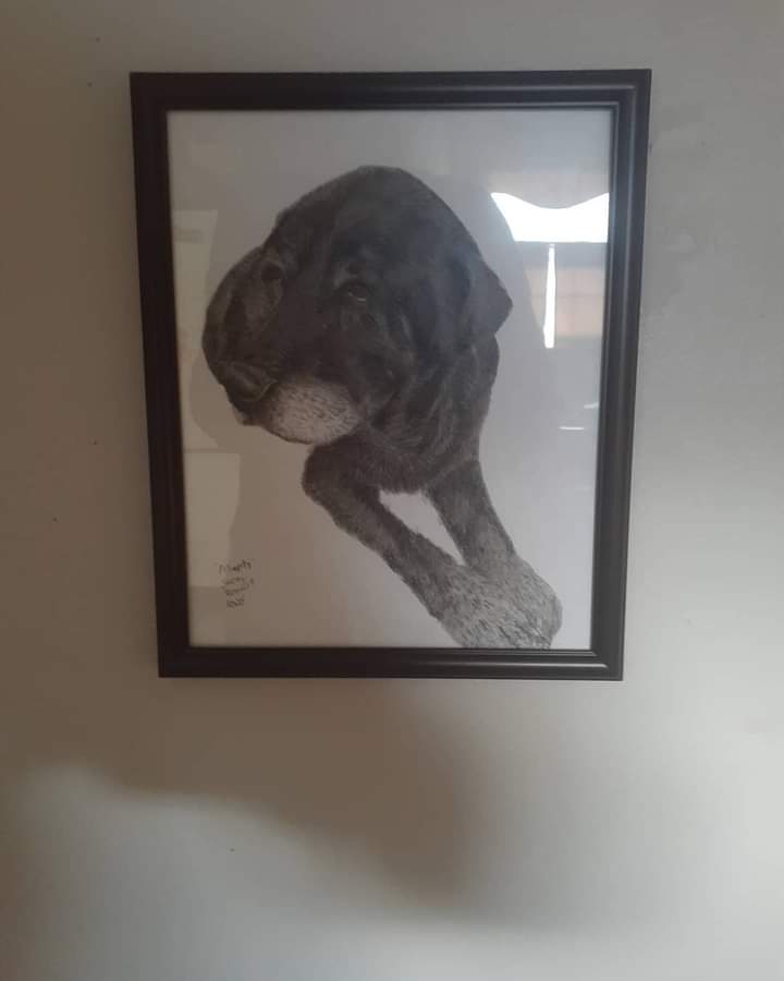 pencil_by's tweet photo. Finished a memorial portrait. Color pencil. #blacklab #labrador #labradorretriever #dogsofinstagram #labsofinstagram #blacklabrador #dog #blacklabsofinstagram #labs #dogs #lab #puppy #blacklabsquad #labradors #labradorsofinstagram #talesofalab #dogstagram #of #labradorable https://t.co/r08Xe3GIw5