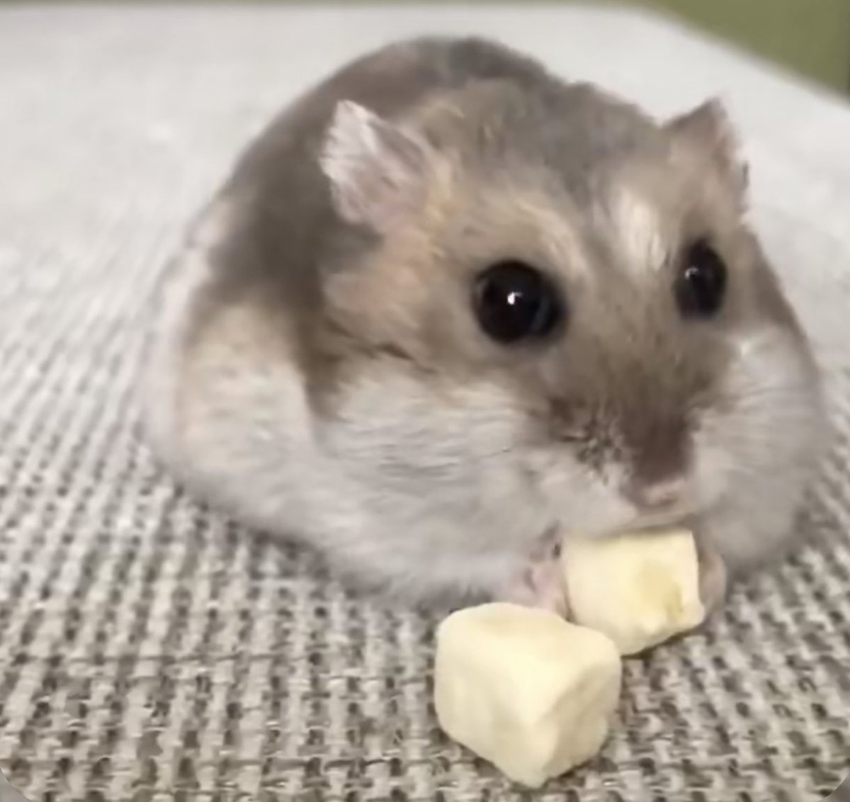 also sorry if i worded any of that incorrectly im panicking too lol