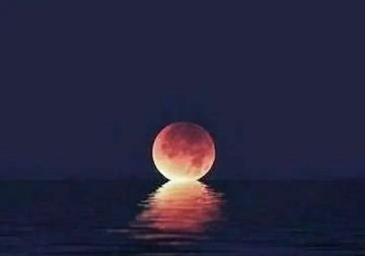 Mrigtriishna's tweet photo. ......

गुलशन में महकता जैसे गुलाब देखा है
महफ़िल में बे-पर्दा हुस्न-ए-शबाब देखा है,

उसकी  हसरत -ए- दीदार में हर रोज़ 
मैंने आफ़ताब को होते महताब देखा है ..!!❤️ https://t.co/9jGtKkLkEv