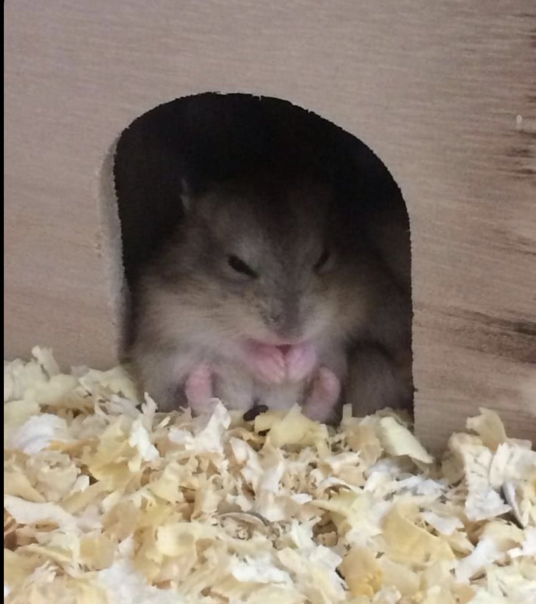 also sorry if i worded any of that incorrectly im panicking too lol