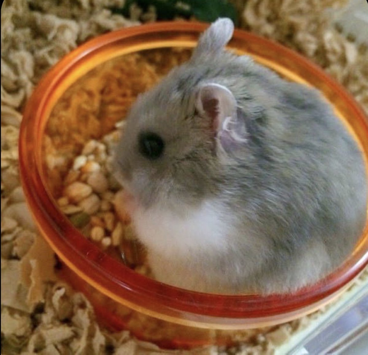 also sorry if i worded any of that incorrectly im panicking too lol