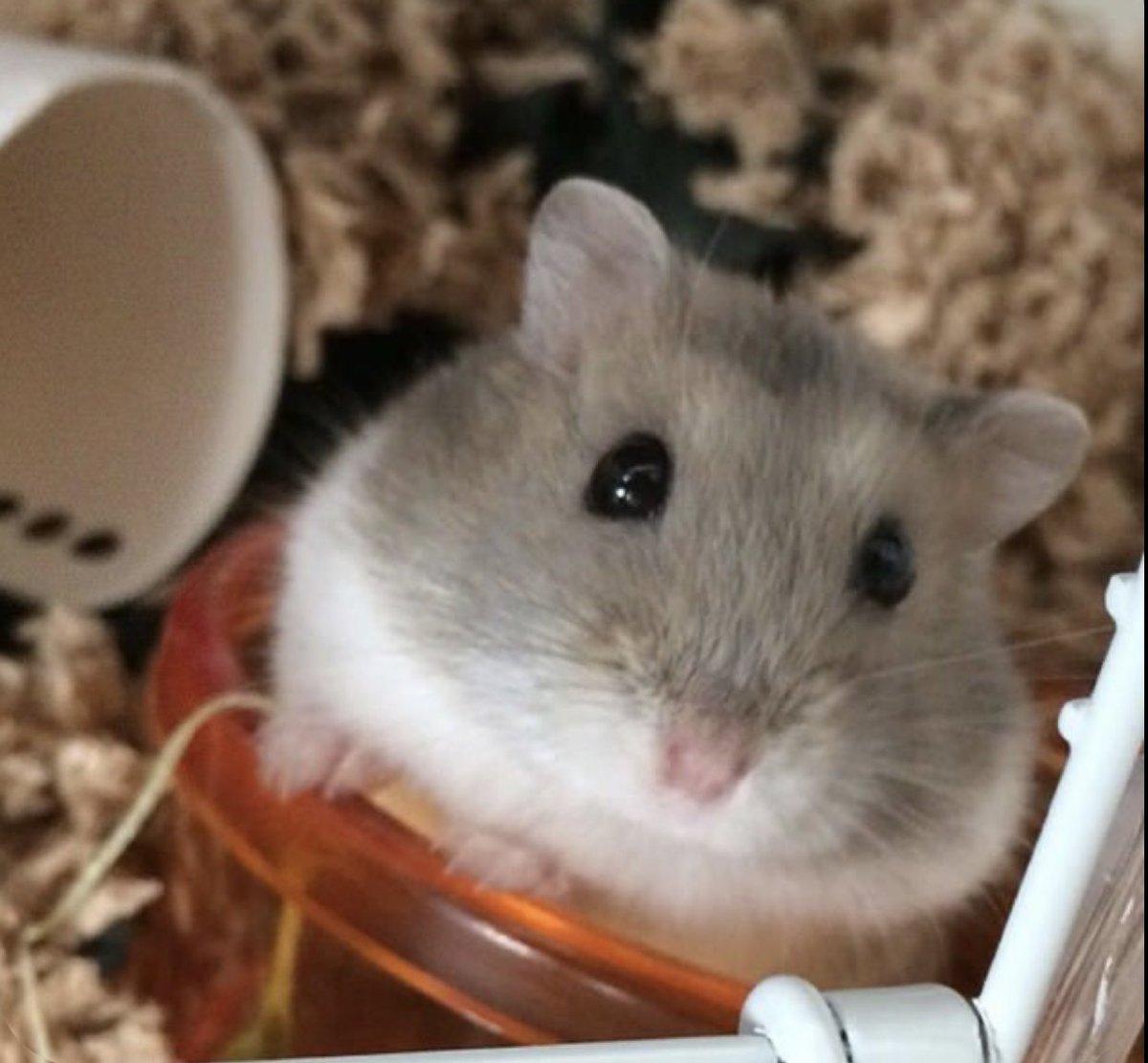 also sorry if i worded any of that incorrectly im panicking too lol