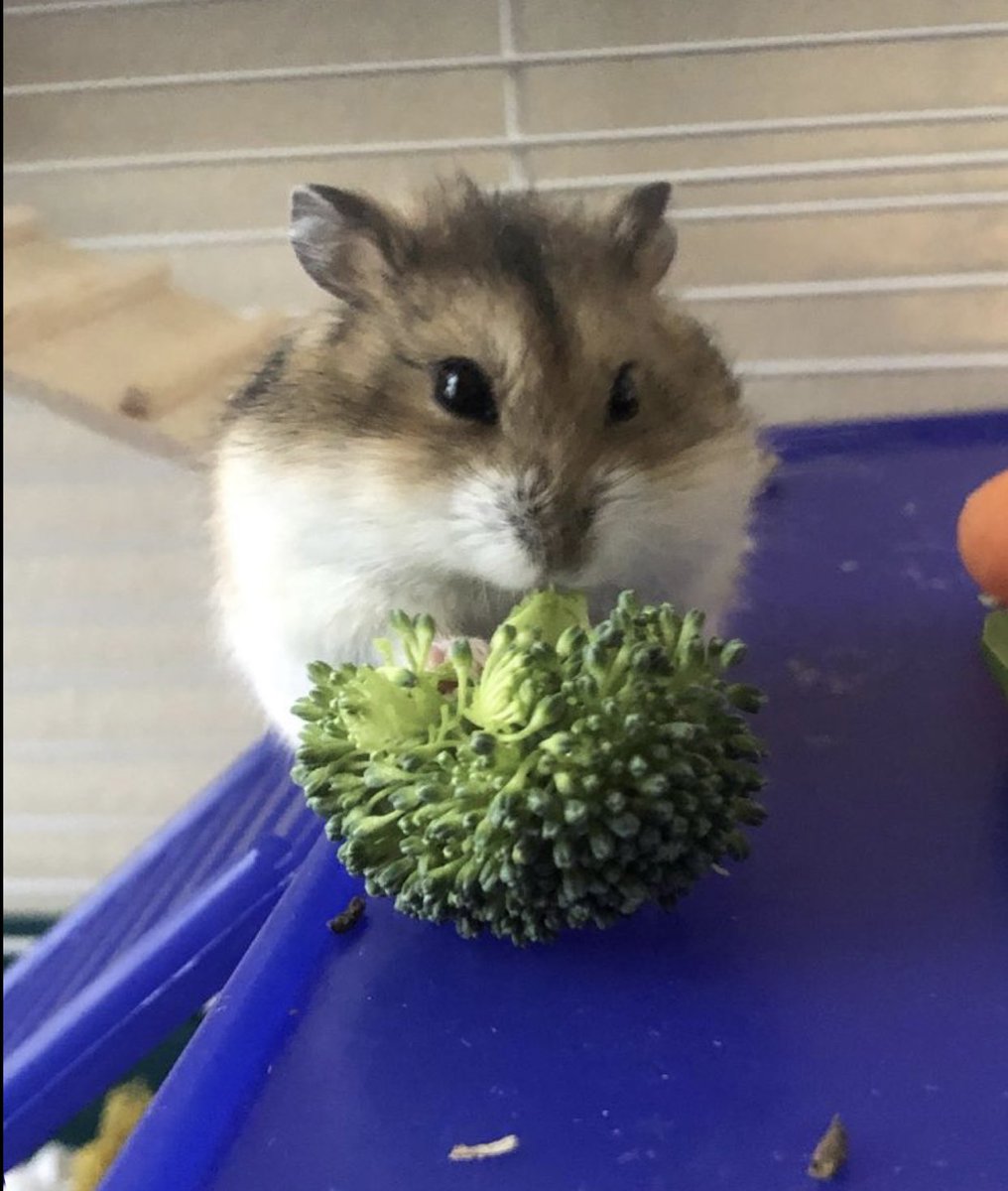 also sorry if i worded any of that incorrectly im panicking too lol