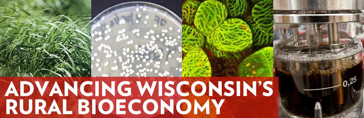 Moving forward with bio-based plastic - The Wisconsin way // Conversion of lignin to PDC - Canan Sener youtu.be/JP2i07UqOcQ via <a href="/YouTube/">YouTube</a> <a href="/UWEnergy/">UW Energy Institute</a> <a href="/GLBioenergy/">Great Lakes Bioenergy Research Center (GLBRC)</a>