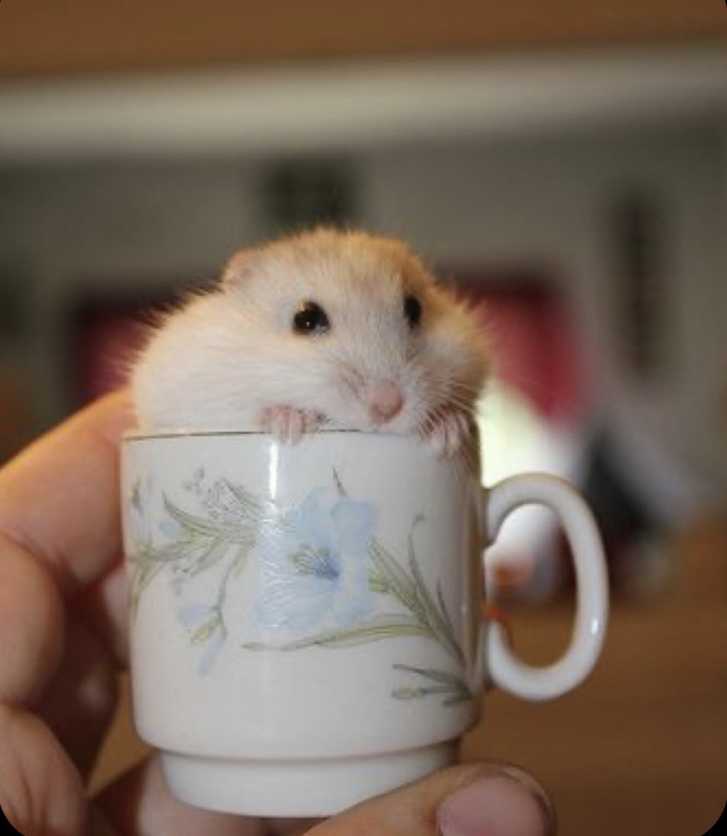 also sorry if i worded any of that incorrectly im panicking too lol