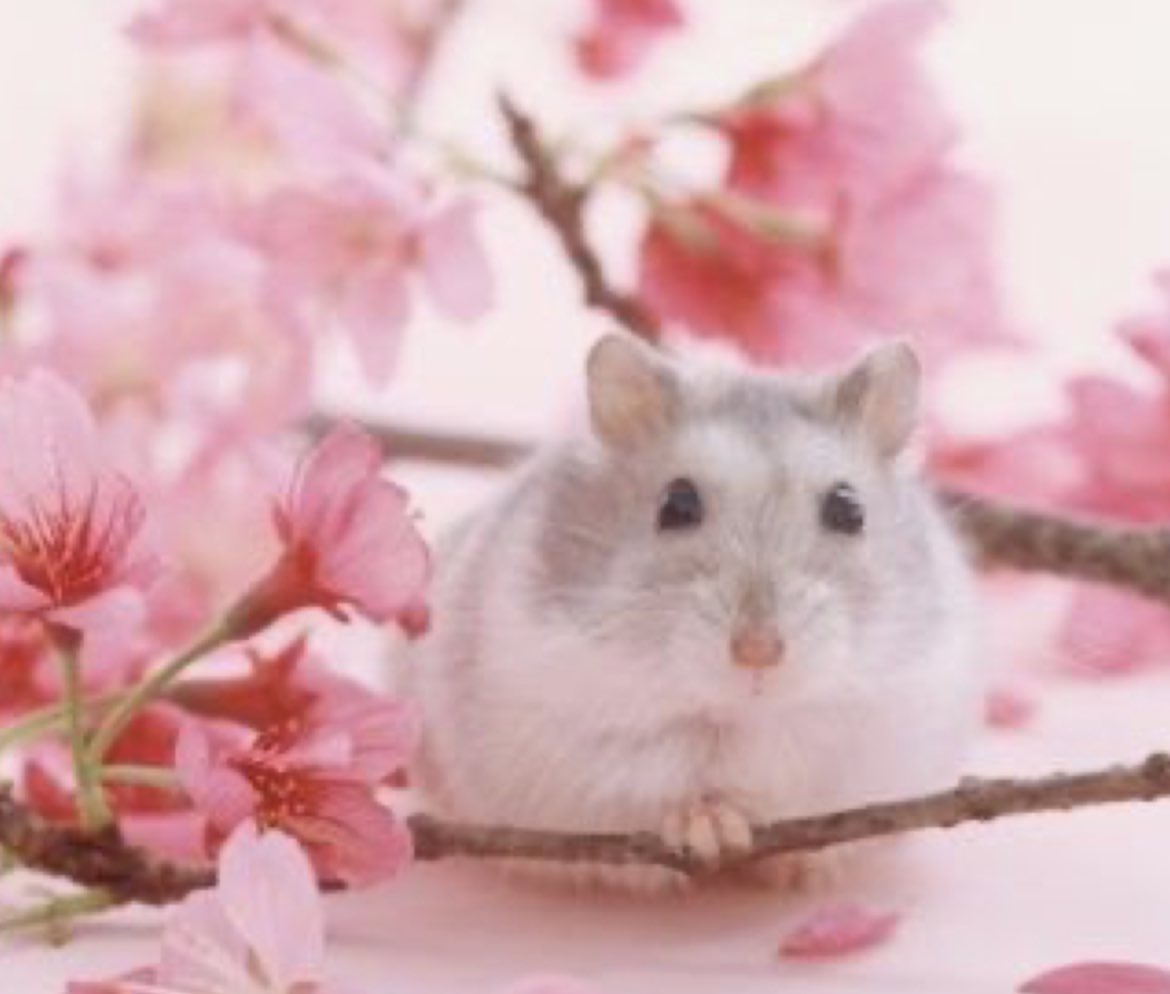 also sorry if i worded any of that incorrectly im panicking too lol